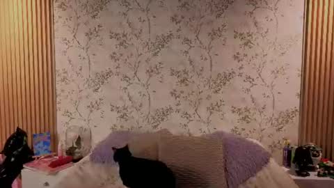 Snapshot of charlote__miller chatting on July 2026 12:00:02 PM You honey online show from July 2026 12:00:02 PM