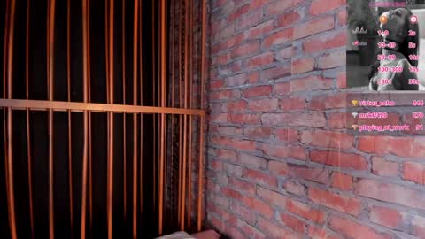 Snapshot of charlotte_brown_1 chatting on January 2025 02:55:02 PM CHARLOTTE BROWN online show from January 2025 02:55:02 PM