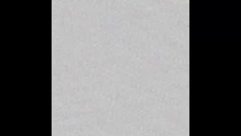 Charlotte online show from February 2025 03:46:01 PM