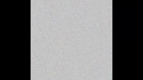 Charlotte online show from February 2025 02:12:02 PM