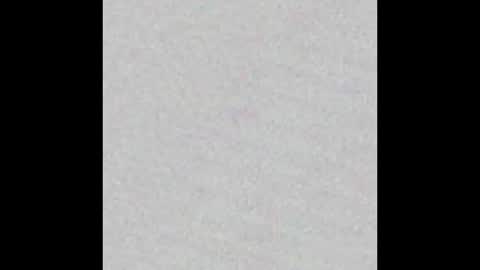 Charlotte online show from February 2025 02:23:02 PM