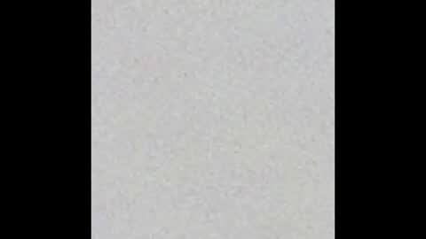 Charlotte online show from September 2025 04:17:01 PM