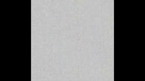 Charlotte online show from October 2025 05:55:02 PM