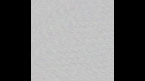 Charlotte online show from November 2025 05:46:01 PM