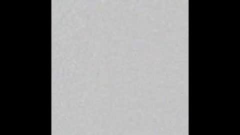 Charlotte online show from November 2025 05:45:01 PM