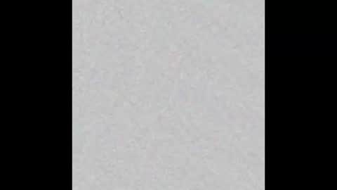 Charlotte online show from March 2026 03:17:01 PM