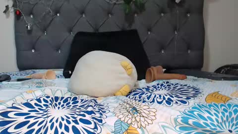 Snapshot of charlottee07 chatting on January 2025 10:40:01 AM charlottee07 online show from January 2025 10:40:01 AM