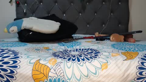 Snapshot of charlottee07 chatting on February 2025 06:30:01 AM charlottee07 online show from February 2025 06:30:01 AM