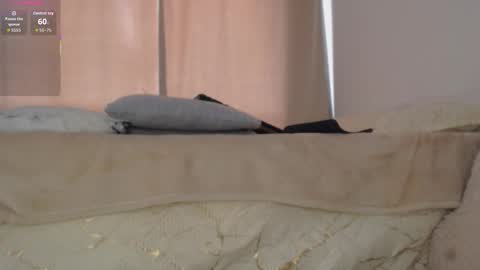 charlottehorny1 online show from February 2026 03:04:01 PM