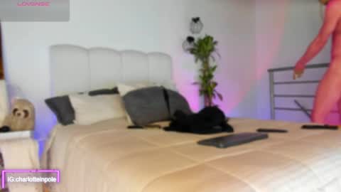 charlotteinpool online show from May 2026 06:42:02 AM