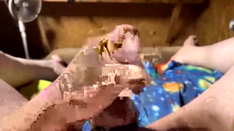 Snapshot of chasepeewee2 chatting on February 2025 03:58:02 AM chasepeewee2 online show from February 2025 03:58:02 AM