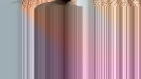 Snapshot of chaturmate00782 chatting on March 2026 05:56:02 AM chaturmate00782 online show from March 2026 05:56:02 AM