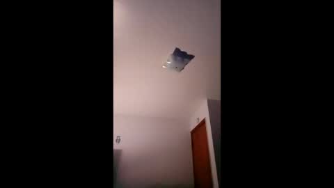 Snapshot of cheeze111 chatting on April 2026 10:19:01 AM cheeze111 online show from April 2026 10:19:01 AM