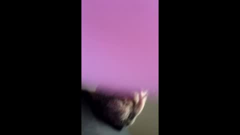 Snapshot of chef4u13 chatting on April 2026 09:01:02 AM chef4u13 online show from April 2026 09:01:02 AM