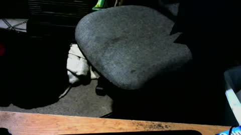 Snapshot of chefy999 chatting on January 2025 10:47:01 AM chefy online show from January 2025 10:47:01 AM