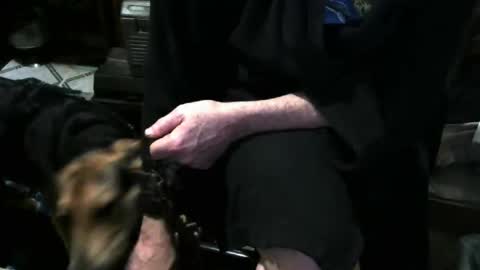 chefy online show from December 2025 11:41:02 AM