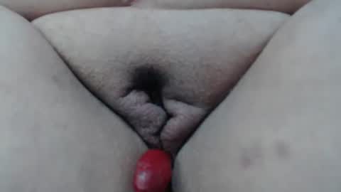 Cheila online show from February 2026 10:08:01 PM