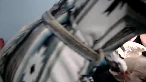 Chelsea online show from January 2026 02:42:02 PM