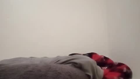 Snapshot of chemicalx_ chatting on February 2026 11:31:02 PM ChemicalX online show from February 2026 11:31:02 PM