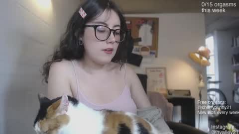 Snapshot of cherrybunny21 chatting on April 2026 08:50:01 PM Sarah Prez online show from April 2026 08:50:01 PM