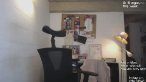 Snapshot of cherrybunny21 chatting on April 2026 02:27:02 AM Sarah Prez online show from April 2026 02:27:02 AM