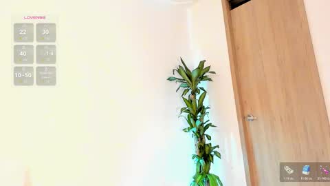    Schedule 7am to 2pm Col online show from February 2026 11:59:01 AM