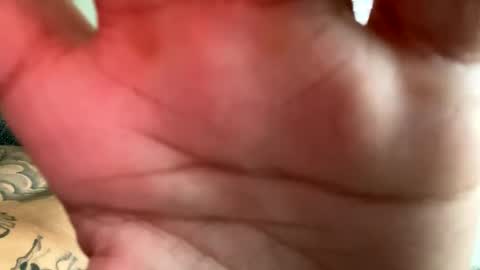 CHINO online show from September 2025 04:39:02 PM