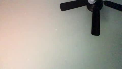 chippytits65 online show from February 2025 04:25:01 PM