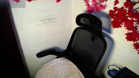 Snapshot of chleo_rosse chatting on June 2026 12:11:01 PM chleo_rosse online show from June 2026 12:11:01 PM