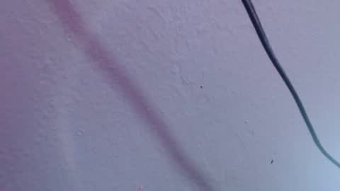 chloe_prg online show from December 2024 07:07:01 PM