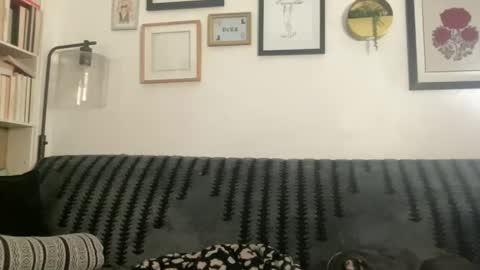 Chloe online show from December 2024 08:22:02 AM