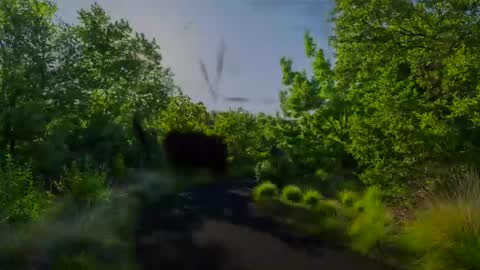 Chris online show from January 2025 08:07:02 AM