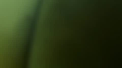 Snapshot of chuckyschick69 chatting on December 2025 04:53:02 AM chuckyschick69 online show from December 2025 04:53:02 AM