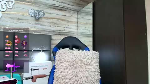 ...   ... online show from January 2025 10:12:02 AM