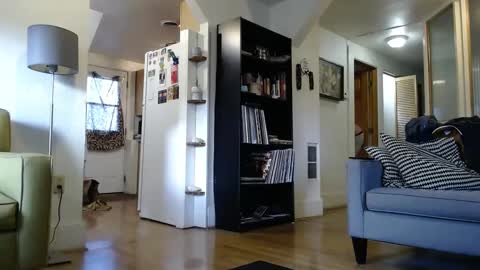 cinapw online show from February 2025 11:42:02 PM