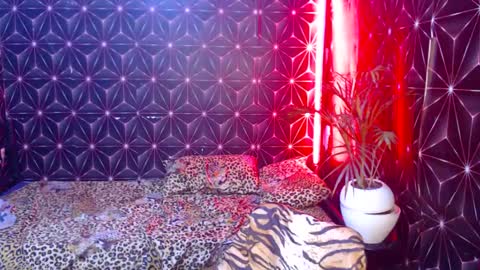 Cindy online show from January 2025 02:19:01 PM