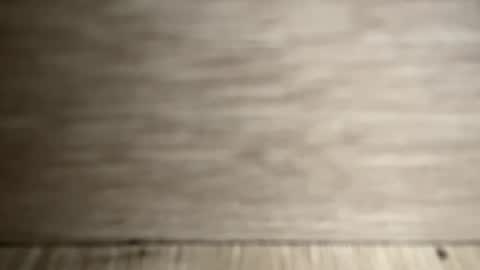 CintiaCollins  online show from January 2025 08:54:01 PM