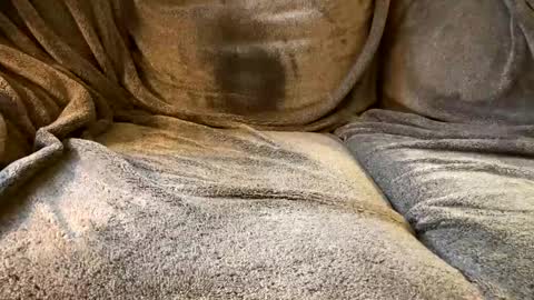 join the circle online show from December 2024 05:15:02 PM