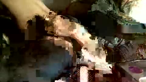 Snapshot of cityman2023 chatting on March 2025 04:13:01 AM dan online show from March 2025 04:13:01 AM