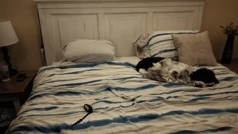 Snapshot of cking14340730238 chatting on October 2025 07:40:02 AM KingDing online show from October 2025 07:40:02 AM