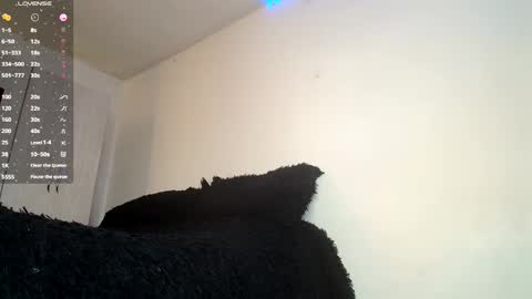 Snapshot of clermontt chatting on February 2025 04:57:01 PM clermontt online show from February 2025 04:57:01 PM