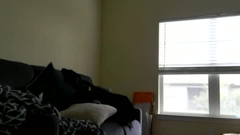 instayour big commander online show from December 2024 09:22:02 PM