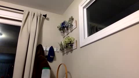 COACH online show from December 2025 12:49:02 AM