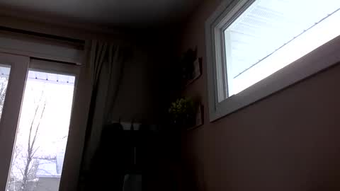 COACH online show from December 2025 02:00:02 PM