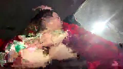 coconutbasil online show from February 2025 05:20:01 PM