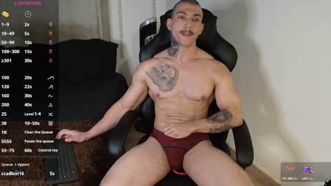 Snapshot of colombianmuscle8 chatting on February 2025 11:04:01 PM colombianmuscle8 online show from February 2025 11:04:01 PM