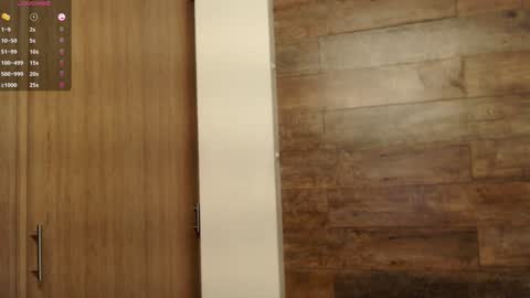 connor_h1 online show from December 2024 05:40:01 AM