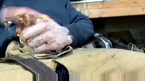 Snapshot of copart84 chatting on December 2024 05:03:01 PM copart84 online show from December 2024 05:03:01 PM