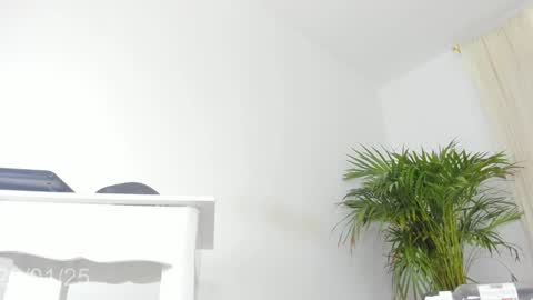 Snapshot of coral_princex chatting on January 2025 10:56:01 PM Coral princex online show from January 2025 10:56:01 PM