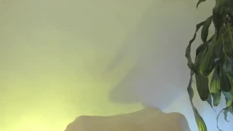 Snapshot of coral_princex chatting on February 2026 06:26:01 AM Coral princex online show from February 2026 06:26:01 AM